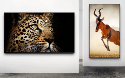 Samsung QLED 8K SIGNAGE